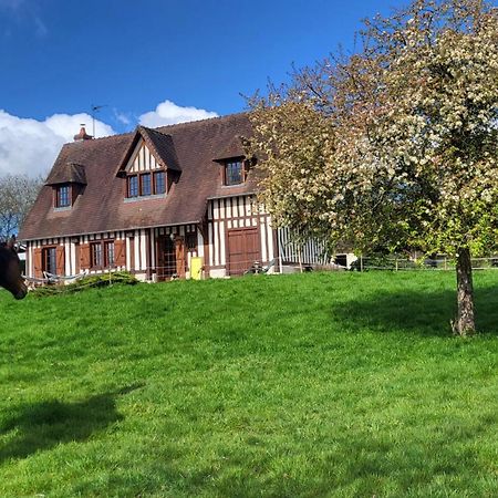 Relais Equestre Du Miloir - Chambres D'Hotes Saint-Desir Kültér fotó